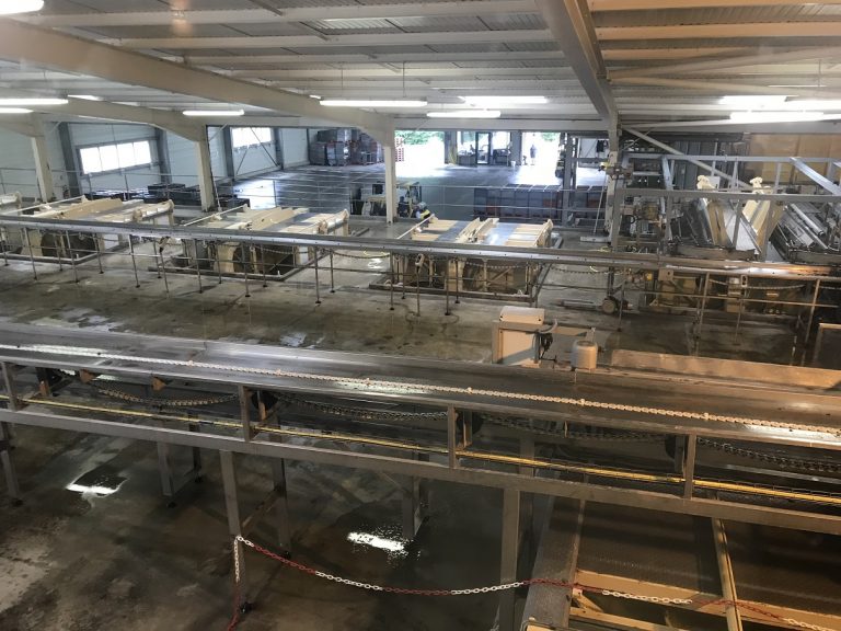 Champagne bezoeken & how it's made hoe wordt wijn gemaakt fabriek