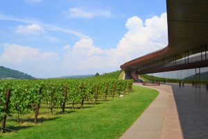 Reistips Toscane deel 1 Marchesi Antinori