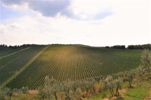 Reistips Toscane deel 1 DSC_0097
