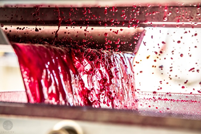 hoe wordt wijn gemaakt