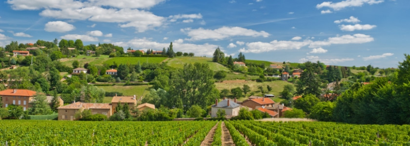 beaujolais