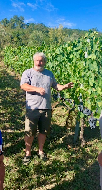 Wijnen podere panta rei