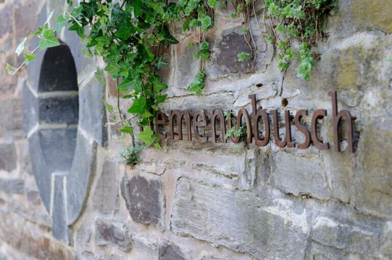 clemens busch meester terroir