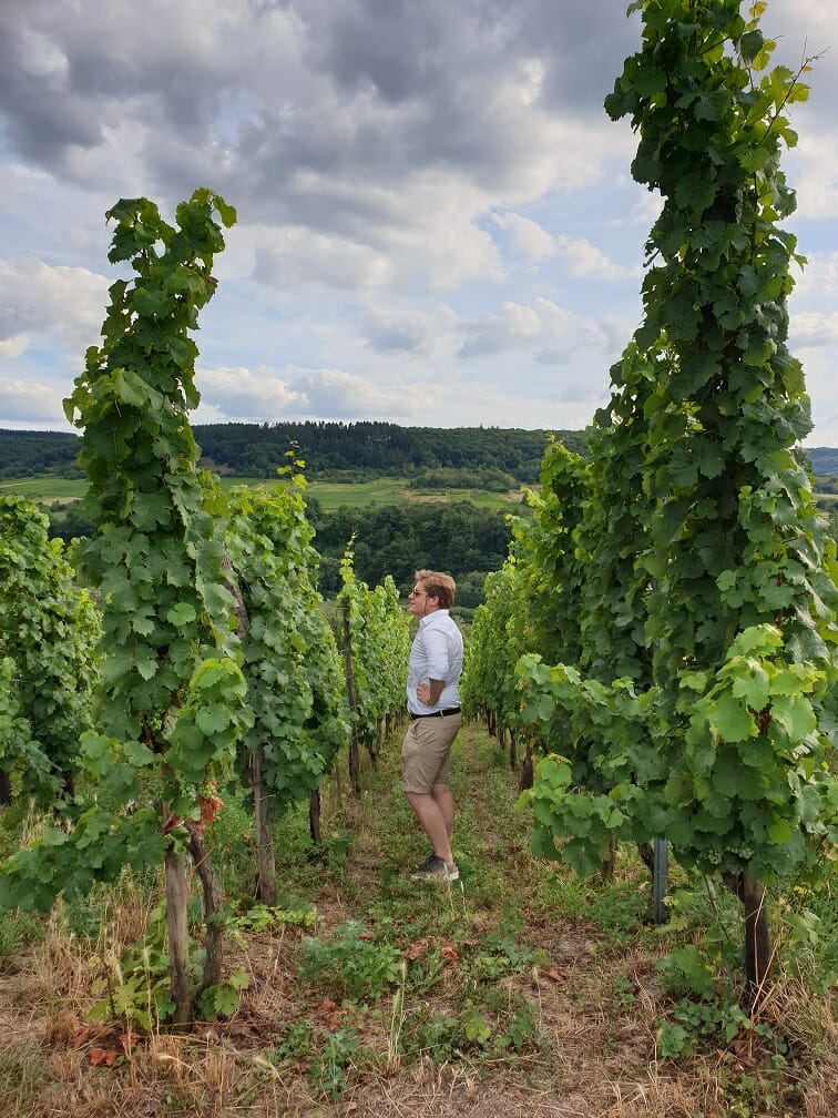 clemens busch meester terroir