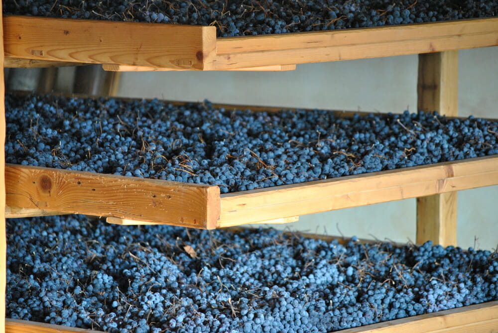 Valpolicellagrapesdrying