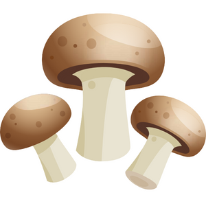 Paddenstoelen Paddenstoelen