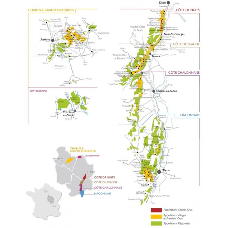 bourgogne wijnen