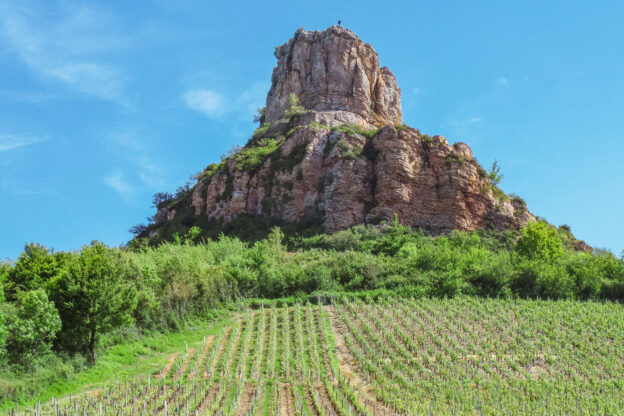 bourgogne wijnen